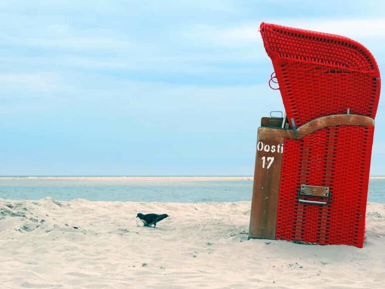 Mehr über den Artikel erfahren Strandkörbe mieten – den Borkumer Strand bequem genießen