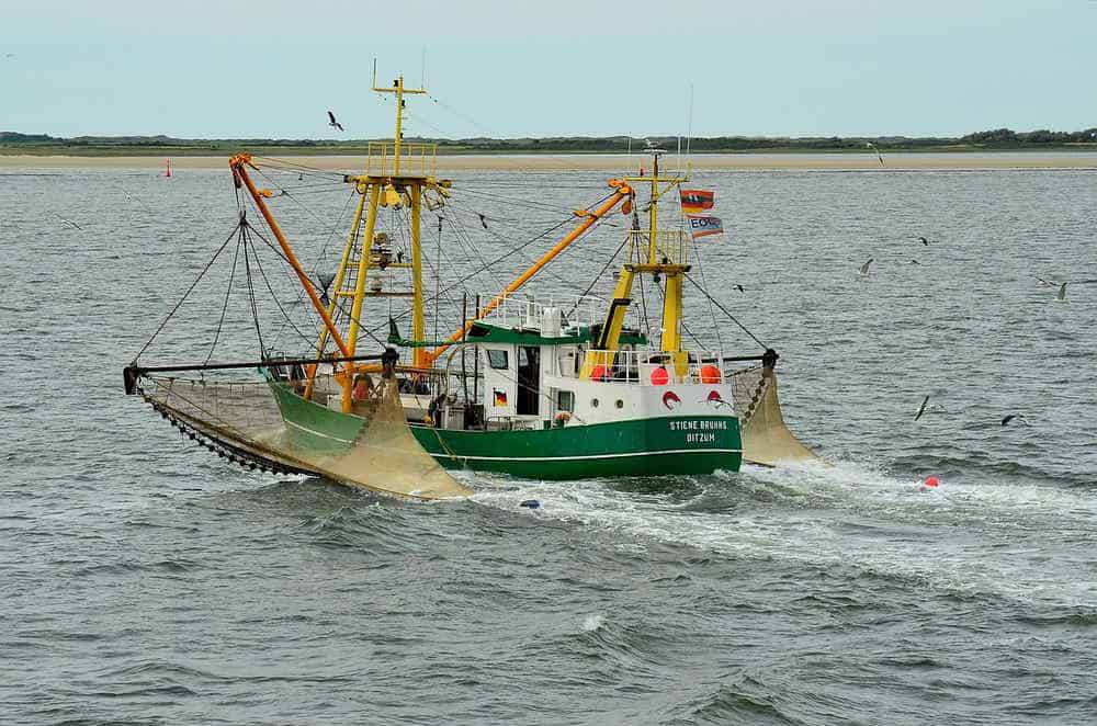 Krabbenfischer Stiene Bruhns - Fischereischiff vor Borkum