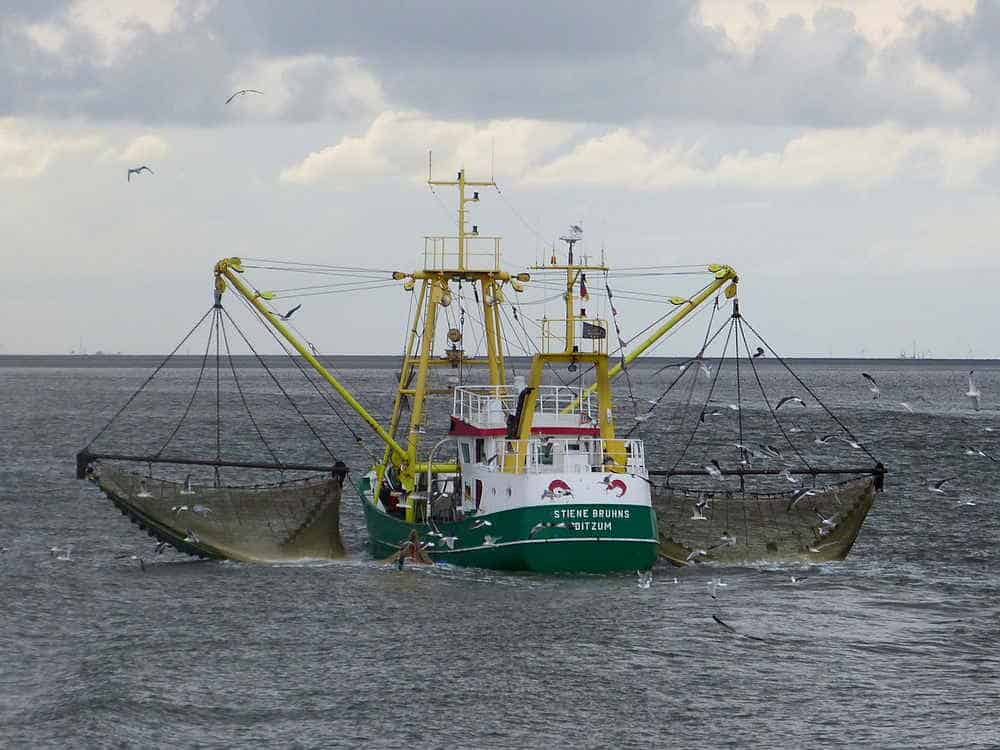 Krabbenfischer Stiene Bruhns - Fischereischiff vor Borkum