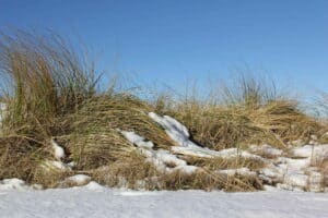 Mehr über den Artikel erfahren Borkum im Winter