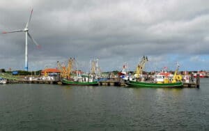 Mehr über den Artikel erfahren Hafen Borkum