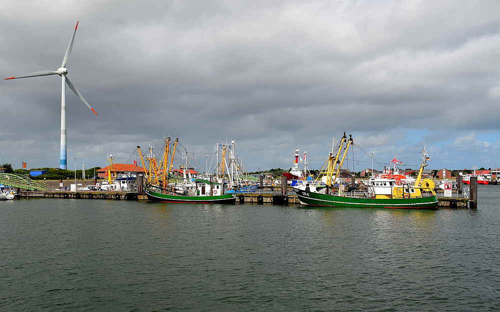 Du betrachtest gerade Hafen Borkum