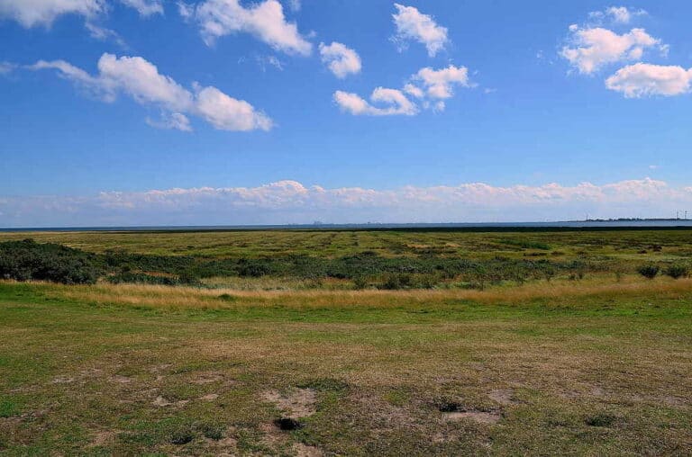 Mehr über den Artikel erfahren Entstehung der Insel Borkum