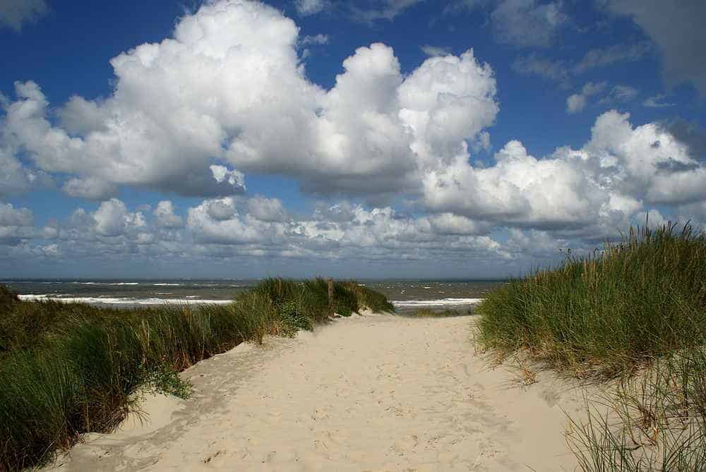 Entstehung der Dünen von Borkum